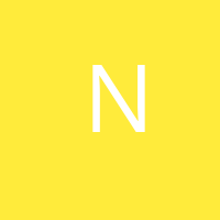 NobShandy